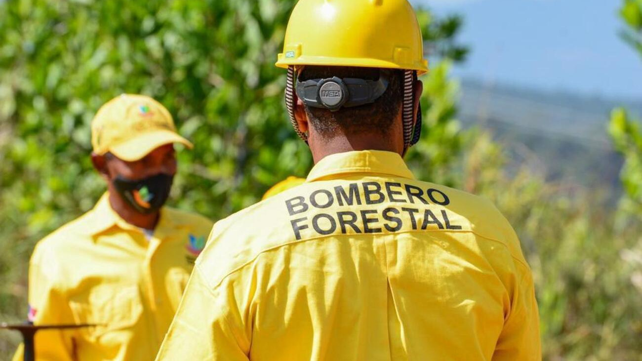 Bajo control incendio forestal en la Sierra de Bahoruco