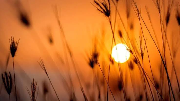 Indomet: Polvo sahariano limitará las lluvias y mantendrá el calor en RD