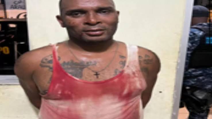 PN rescata a mujer víctima de violencia doméstica y apresa a su pareja en Los Guandules, DN