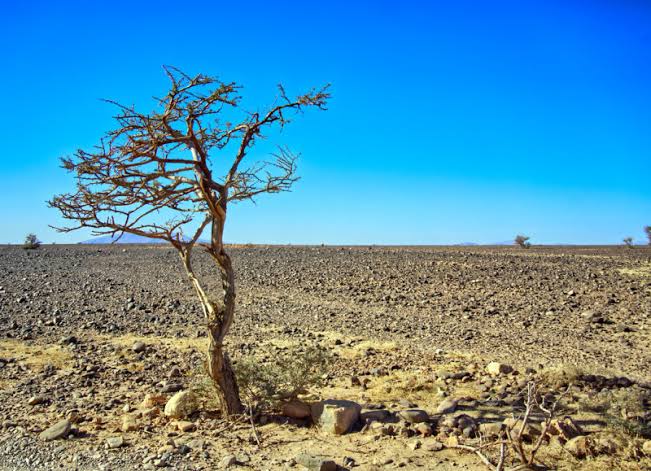 El Niño se avecina, sus primeras señales ya se están sintiendo y será muy fuerte
